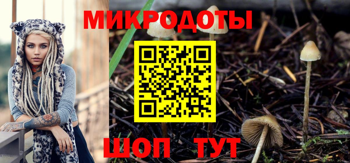 Псилоцибиновые грибы Psilocybine cubensis  Вход с VPN  Скопин 